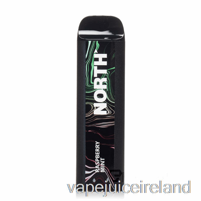 Vape Flavours North 5000 Disposable Raspberry Mint